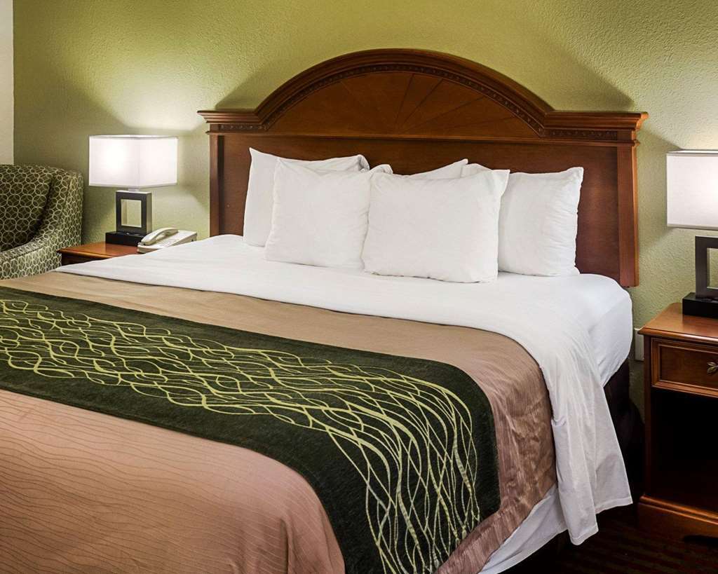 Comfort Inn Newport News - Hampton I-64 Rom bilde