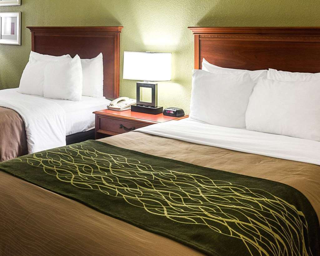 Comfort Inn Newport News - Hampton I-64 Rom bilde